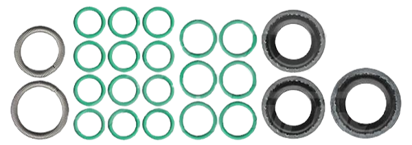 Dodge Dakota and Ram O-Ring and Seal Kit