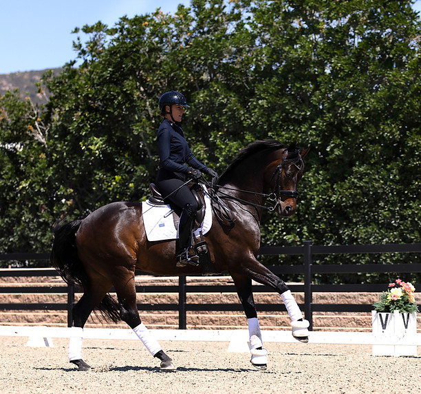 Verena Mahin dressage trainer tempe training