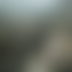 The first few pages of my memoir