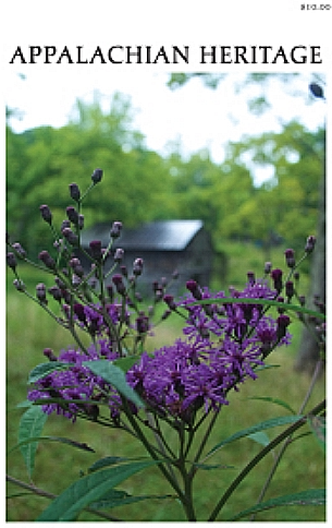 A great Appalachian novel