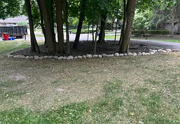 IMG_1047.jpg
