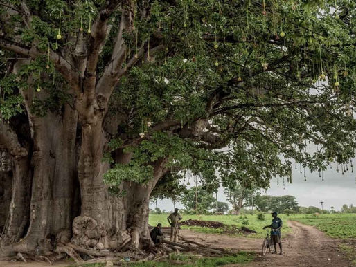 专业人士告诉我们如何评估和计划自己的正念练习