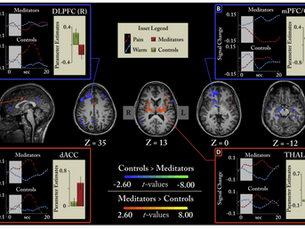 冥想如何帮助我们面对痛苦