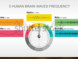 Why a Short Five-Minute Mindfulness Practice Can Reboot Our Mind and Body