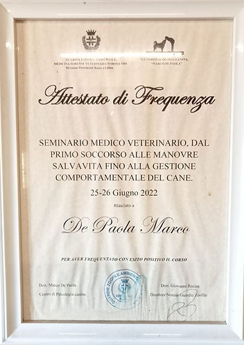 Immagine WhatsApp 2025-05-26 ore 10.56.29_37b19465.jpg