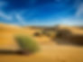 sand-dunes-in-desert.jpg