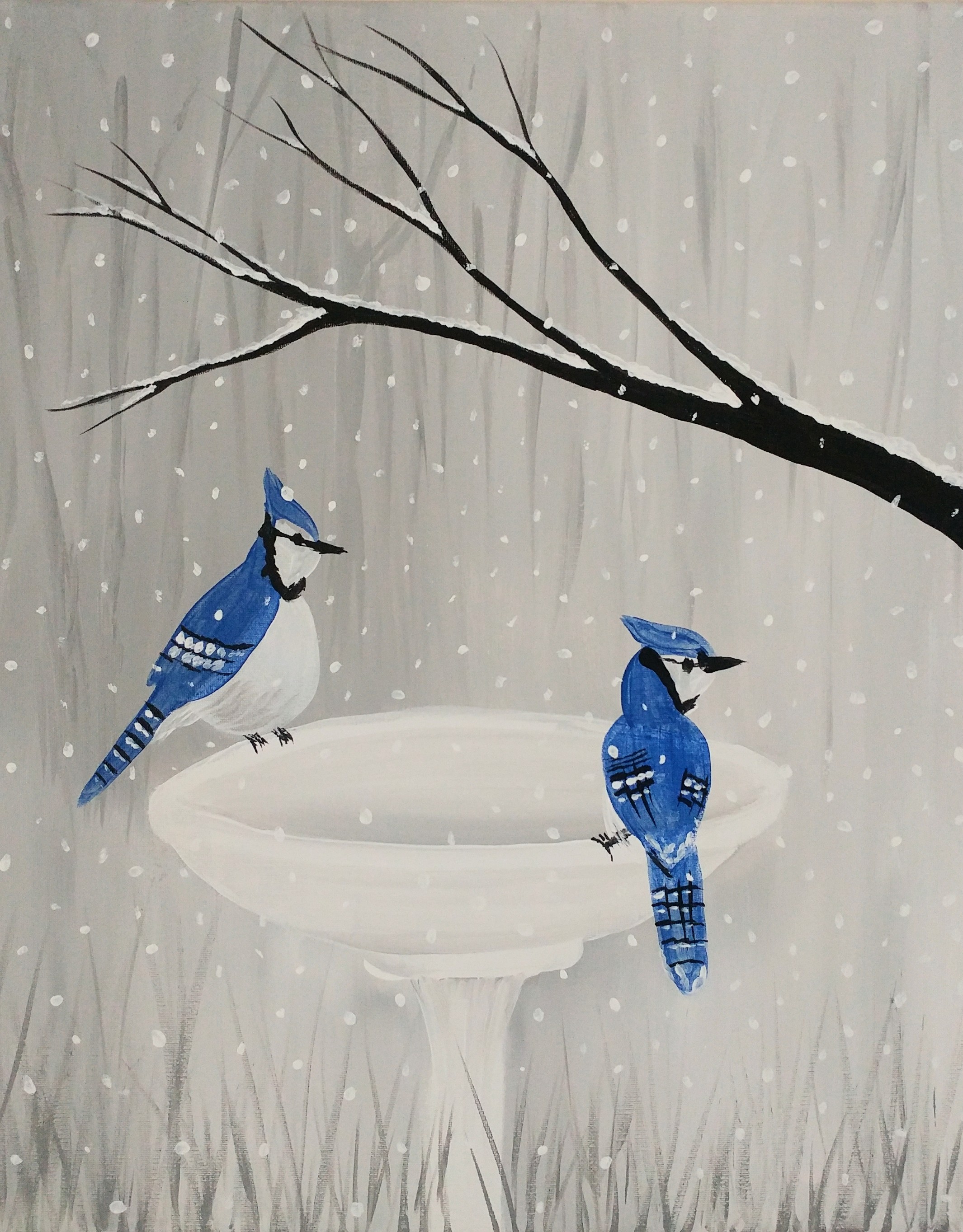 Winter Blue Jays