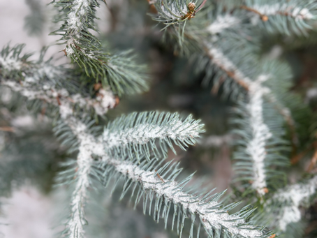 Wanderlust - The F6 Hotel & Helsinki