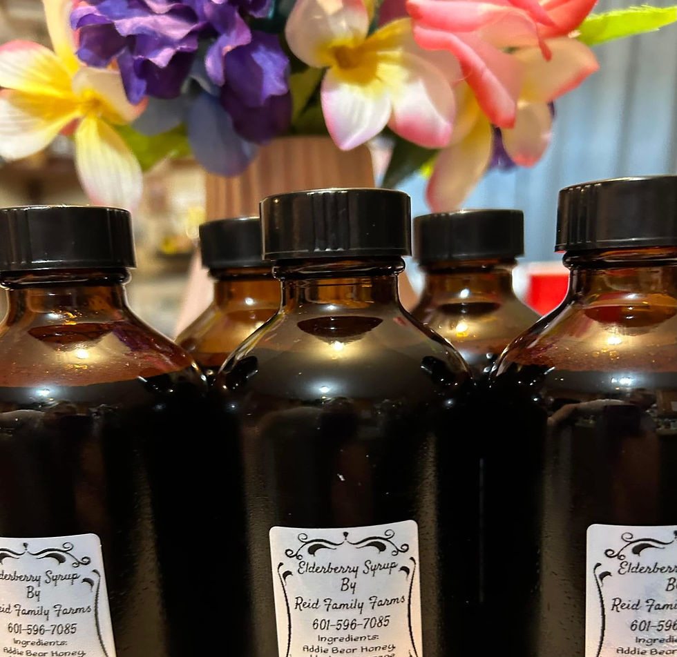 addie bear honey elderberry.jpeg