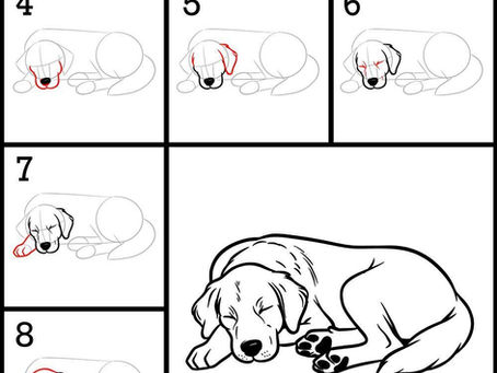 Animal Anatomy Drawing Practice Part - 24 for NID, NIFT, UCEED & NATA Preparation