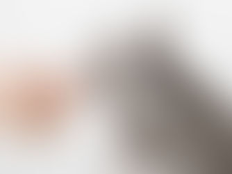 How a Cat’s Digestion Differs from Dogs and Humans – What Every Pet Parent Should Know