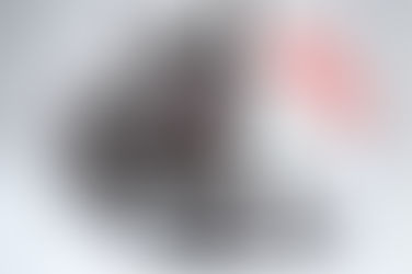 5 Signs Your Cat’s Diet Needs an Upgrade