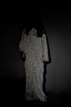 A Woman's Shadow