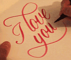 ily