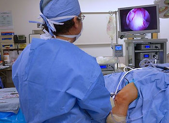 Arthroplasty Training Program