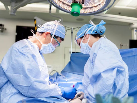Surgical Oncology Fellowship