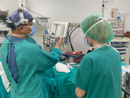 Plastic Surgery Fellowship