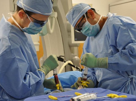 Bone Marrow Transplant Fellowship