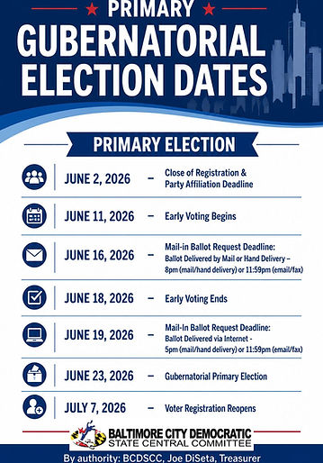 Primary Election.jpg