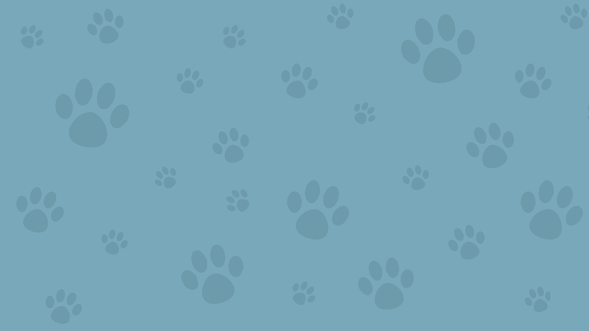 Website Background copy.png