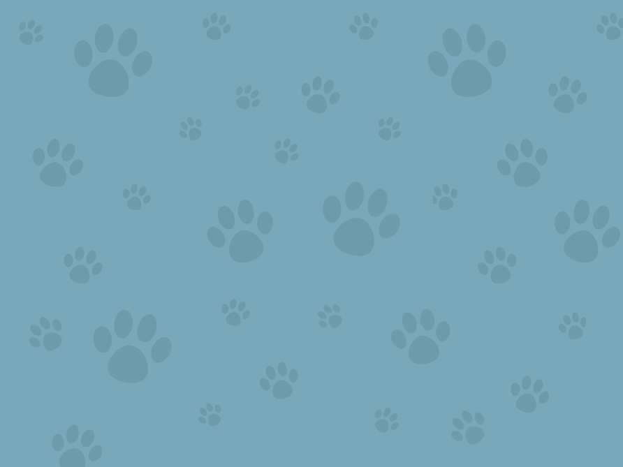 Website Background copy.png