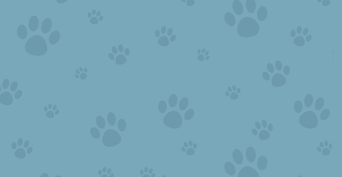 Rocky Mountain Feline Rescue