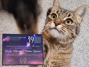 Untitled design (1).png