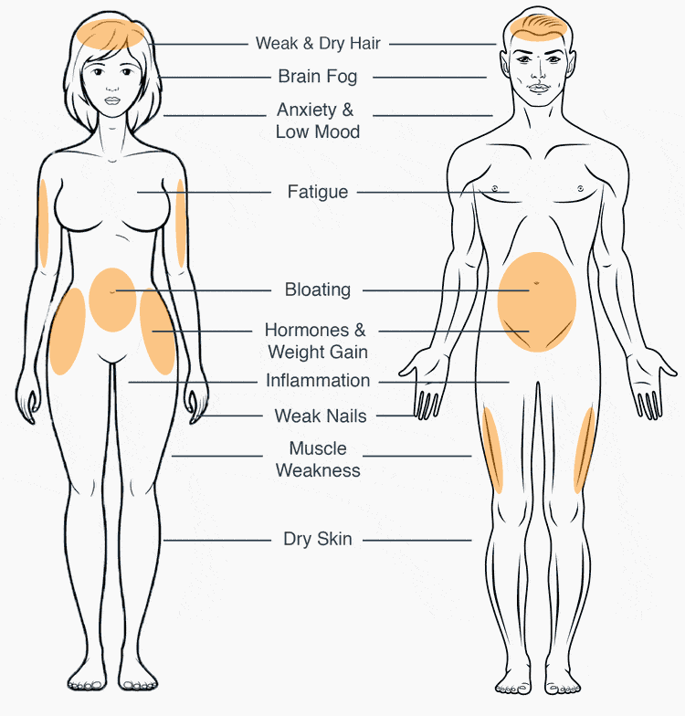 targeted-weight-loss.gif