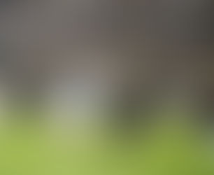 Atlético empató con Talleres y no pudo volver a la cima