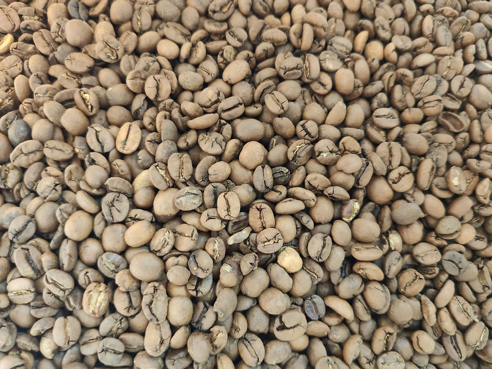 Бразилія Жовтий Бурбон, зернова кава