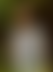 Diogo Strausz tours Europe with his new "Samba From Outer Space"[Goutte d'Or Records]