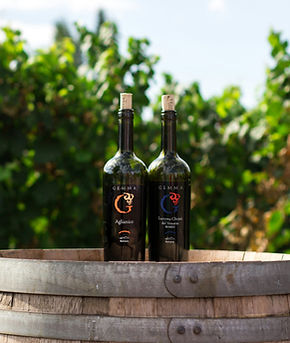 linea gemma michele romano vini