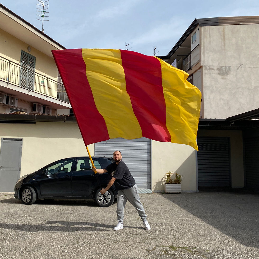 Miniatura: BANDIERA 4 STRISCE VERTICALI 200 x 300 CM