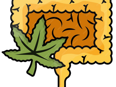 הפסקות עישון איך זה עובד ?