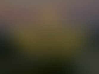 PORTARIA NORMATIVA PRF Nº 15, DE 24 DE MARÇO DE 2022