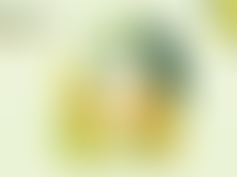 ¡Ya tenemos la lista de Disoñadores!