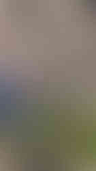 Building belays and anchors outdoors