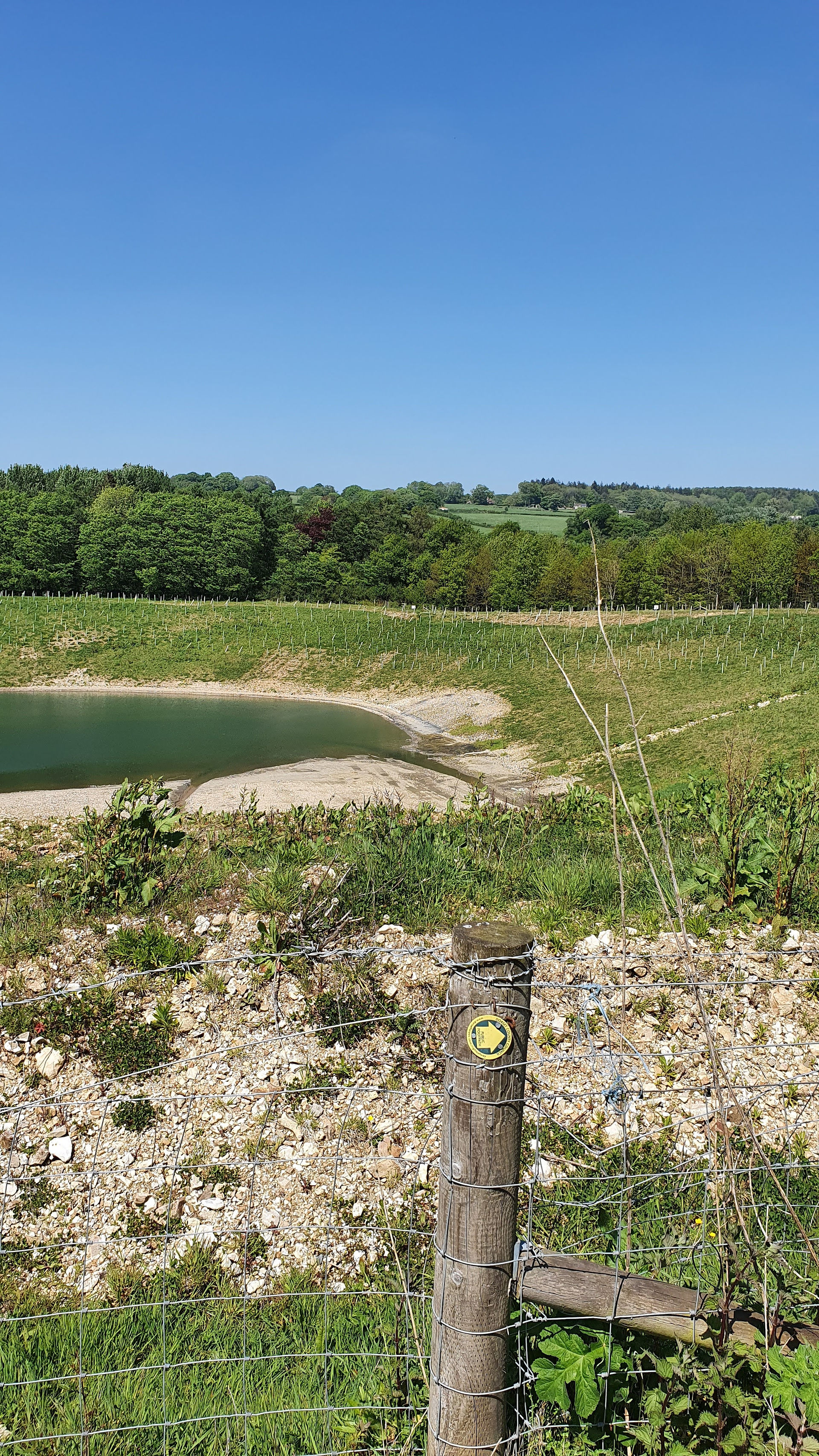 Chard Junction Quarry