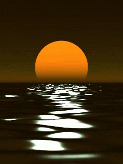 56426447_793381111