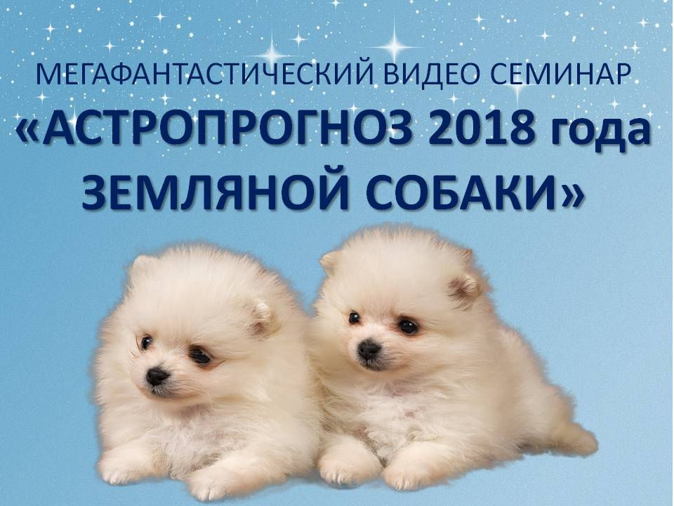 20_yanv