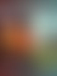 Revize hromosvodu: klíčové důvody pro firmy a SVJ