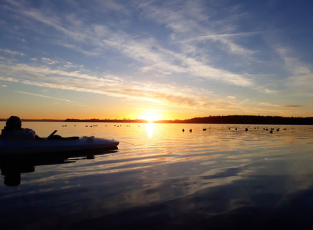 Fælles Jagt på Roskilde fjord
