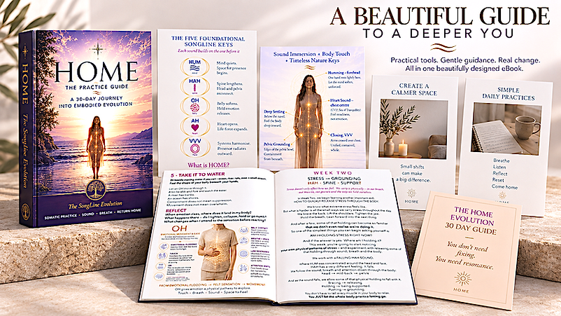 book image copy.png
