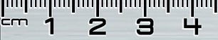 Ruler