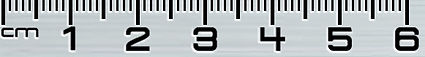 Ruler