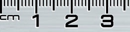 Ruler