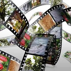 35mm Film Strips 4