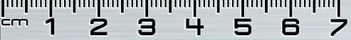 Ruler