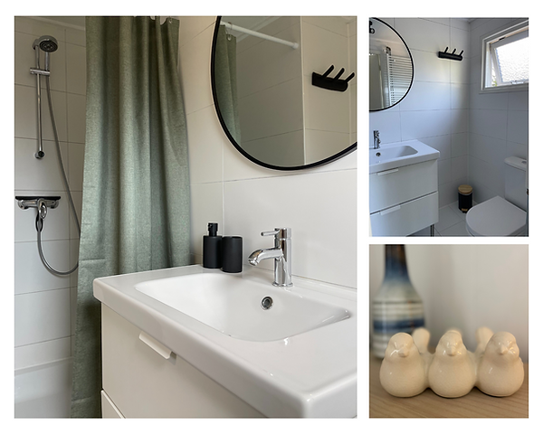 boshuisje-elva-badkamer-douche