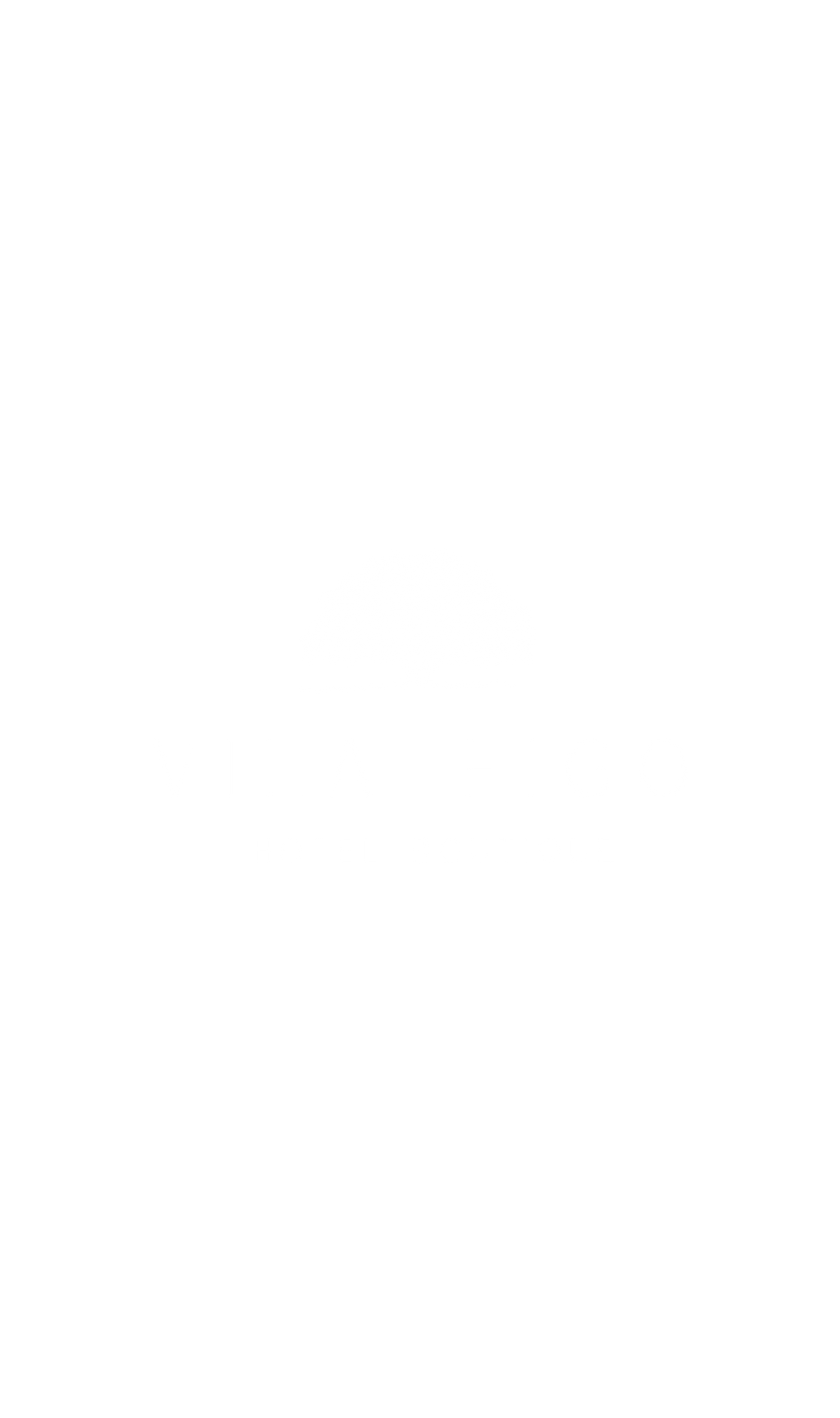 Logo Vila Figo (1).png